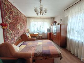 Квартиры, 1-комн., Дзержинский