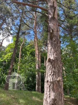 Квартиры, 3-комн., Одинцово