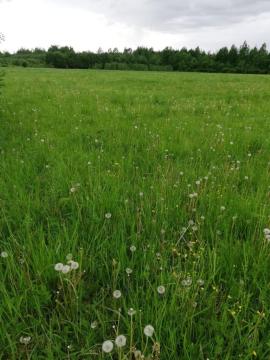 Участки, Волоколамск