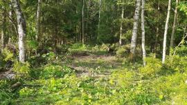 Участки, Наро-Фоминск