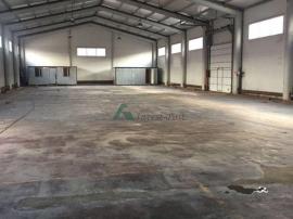 Аренда коммерческой, Видное