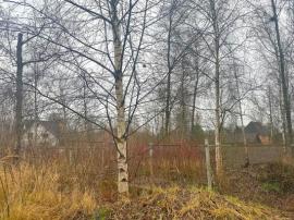 Участки, Чехов