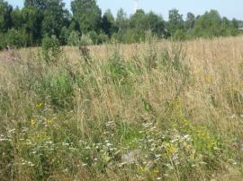 Участки, Шатура