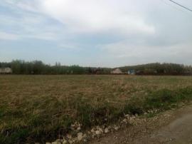 , Дмитров