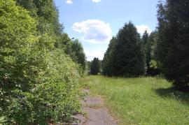 Участки, Солнечногорск