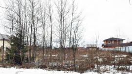 Участки, Пушкино