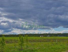 Участки, Дмитров