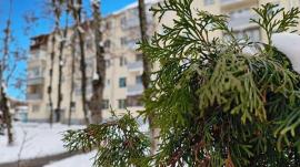 Квартиры, 2-комн., Жуковский