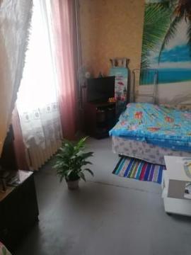 , 1-комн., Ногинск